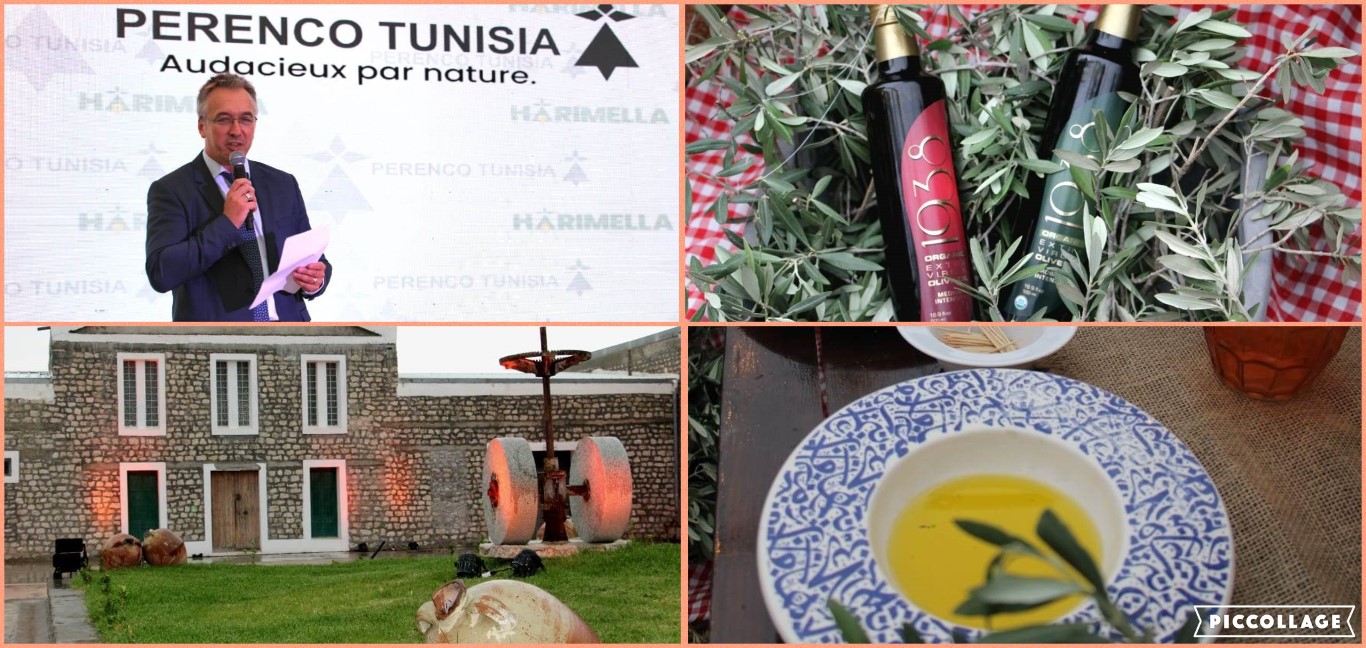  في نابل ..شركة بترولية تطلق مشروعا نموذجيا لإنتاج وتصدير زيت الزيتون التونسي